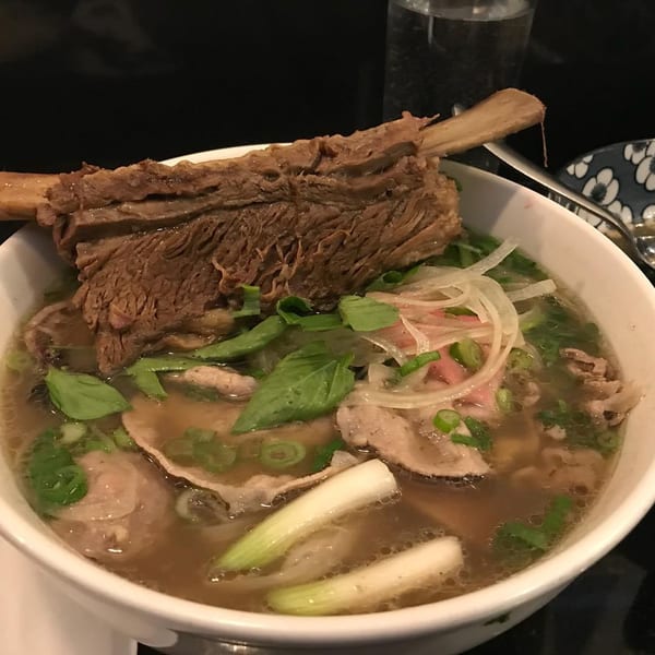 A large bowl of Vietnamese pho with a beef short rib, basil, onions, and scallions.